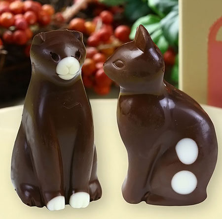 猫のチョコレート